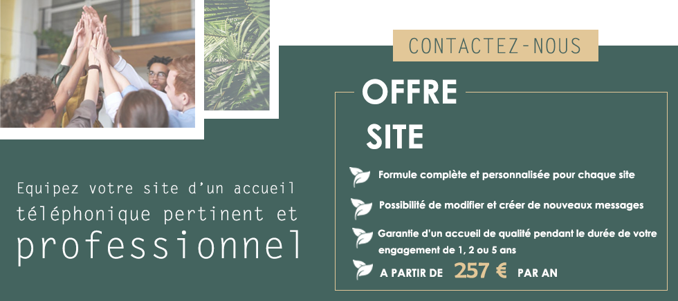 Offre Site